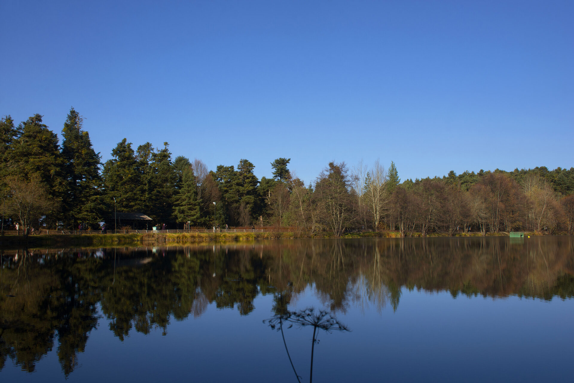 Nature (6)